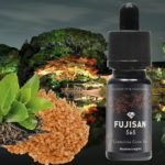 Fujisan (Gamme Infuused) par Fuu