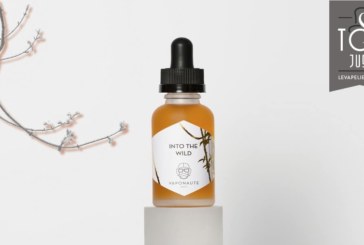 Into The Wild (Gamme E-Voyages) par Vaponaute