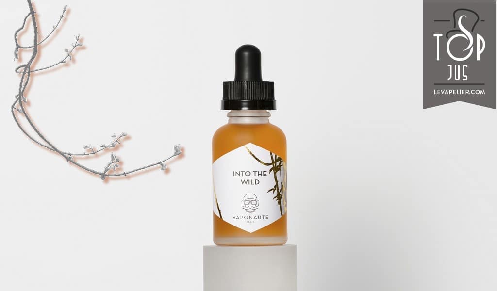 Into The Wild (Gamme E-Voyages) par Vaponaute