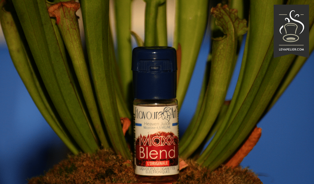 Maxx Blend par Flavour Art