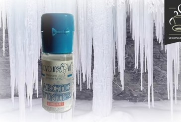 Arctic Winter par Flavour Art