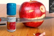 Fuji par Flavour Art
