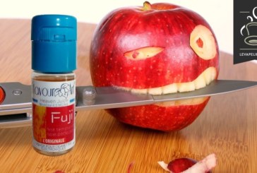 Fuji par Flavour Art