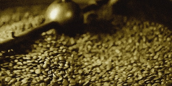 Le Café (Gamme Botanics) par Vaponaute - 3