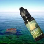 Perfect Day (Gamme Vaponaute 24) par Vaponaute
