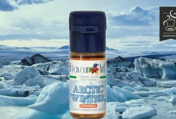 Arctic Winter par Flavour Art