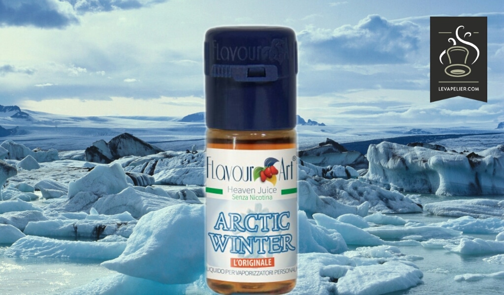 Arctic Winter par Flavour Art