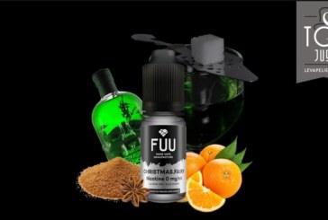 Christmas Fairy (Gamme Original Silver) par FUU