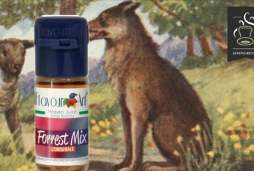 Forrest Mix par Flavour Art