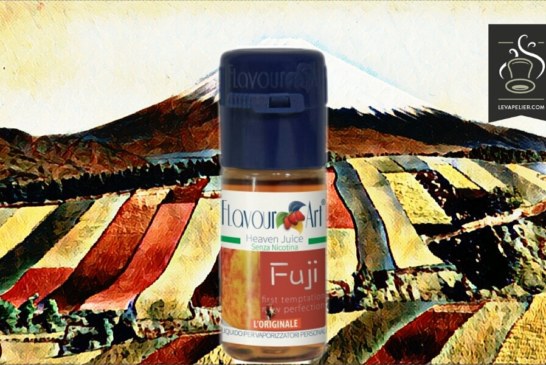 Fuji par Flavour Art