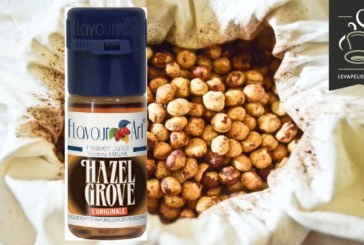 Hazel Grove par Flavour Art