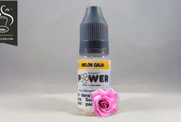 Melon Galia (Gamme 50/50) par Flavour Power