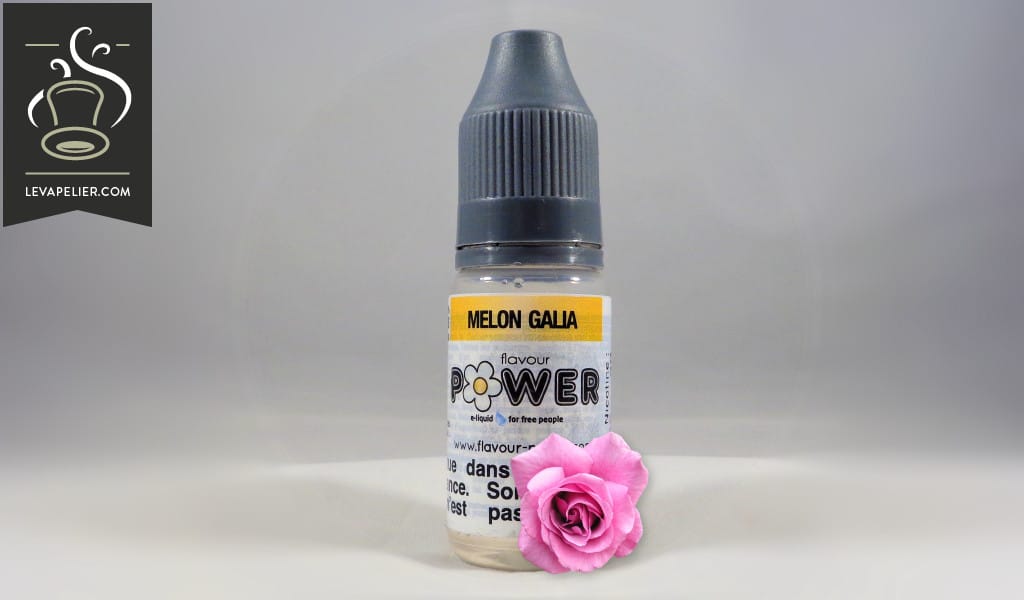 Melon Galia (Gamme 50/50) par Flavour Power