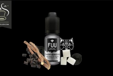 Tricky Racoon (Gamme Original Silver) par The Fuu