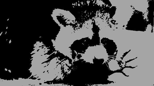 Tricky Racoon (Gamme Original Silver) par The Fuu - 5