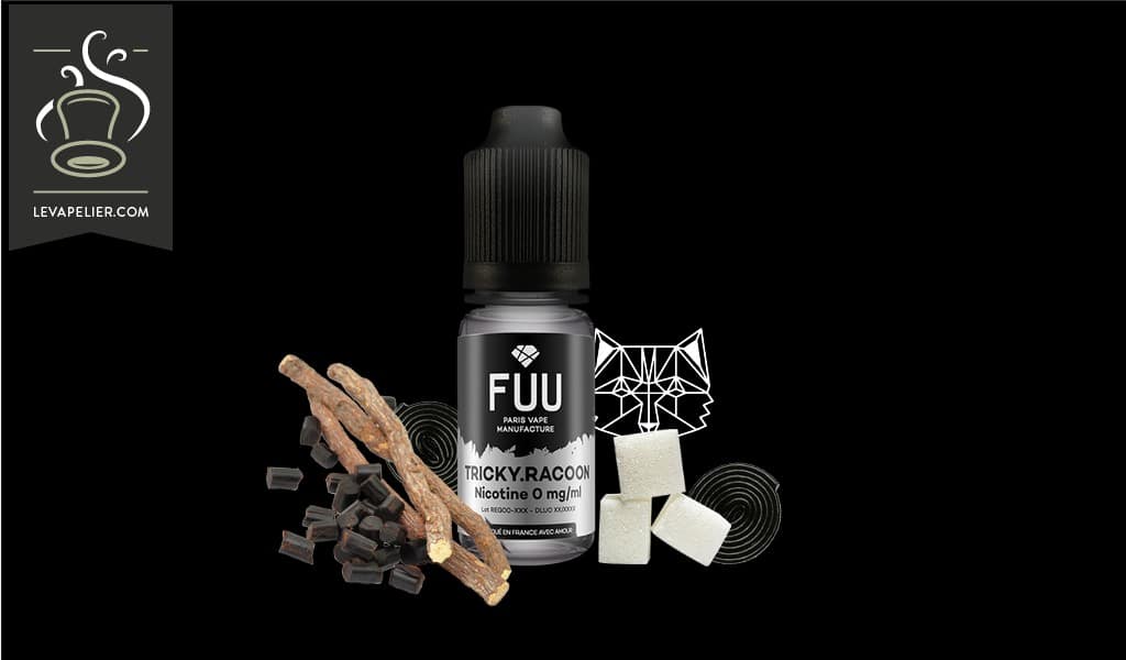 Tricky Racoon (Gamme Original Silver) par The Fuu