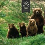 Big Bear par Ehpro