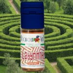 Labyrinth par Flavour Art