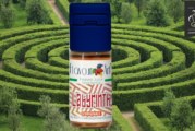 Labyrinth par Flavour Art