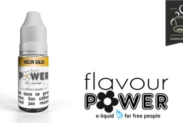 Melon Galia (Gamme 50/50) par Flavour Power