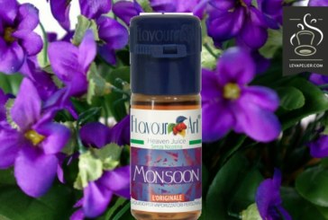 Monsoon (gamme E-Motion) par Flavour Art