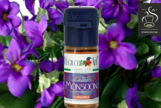 Monsoon (gamme E-Motion) par Flavour Art
