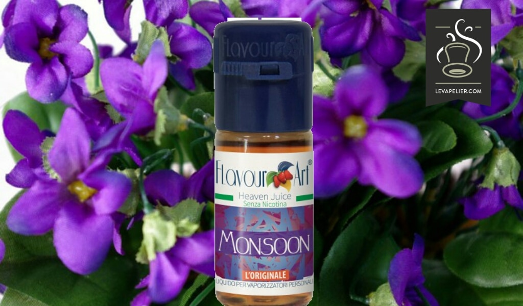 Monsoon (gamme E-Motion) par Flavour Art