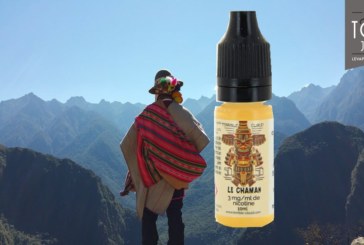 Le Chaman par Terrible-Cloud