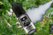 MC.Mint (Gamme Original Silver) par The FUU