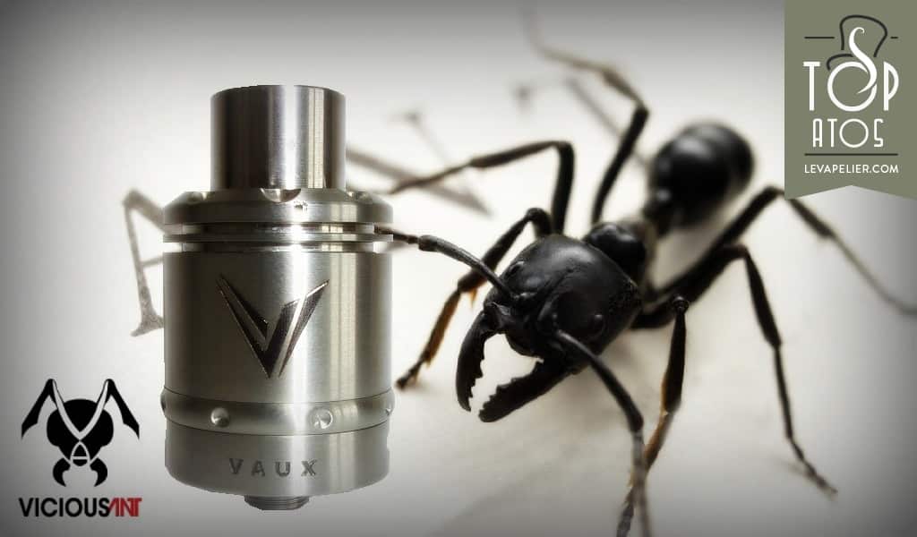 Vaux RDA par Vicious Ant