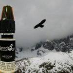 Hegoak gamme classique par BordO2