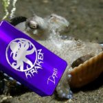 Kraken par Chalet MFG