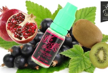 PINKY BERRY par MR & MRS VAPE
