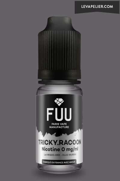 Tricky Racoon (Gamme Original Silver) par The Fuu - 5