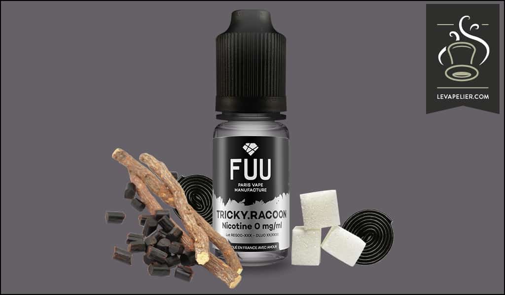 Tricky Racoon (Gamme Original Silver) par The Fuu