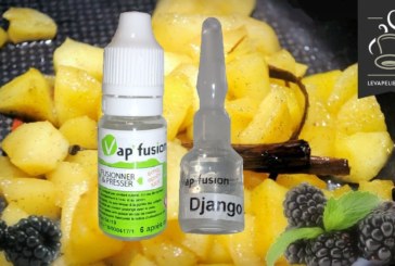 Django (Gamme Premium) par Vap’fusion