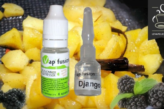 Django (Gamme Premium) par Vap’fusion