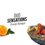 Orange Mangue ( Gamme Duo Sensations ) par Le Vapoteur Breton