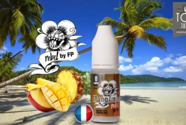 MangAnas (Gamme Rebel) par Flavour Power