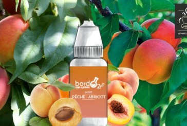 Pêche Abricot (Gamme Classique) par BordO2