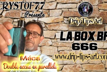 Box  BF 666, 2×18650 parallèle par Drip Tips Art [VapeMotion]