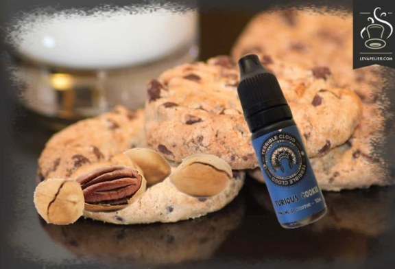 Furious Cookie (Gamme High VG) par Terrible Cloud