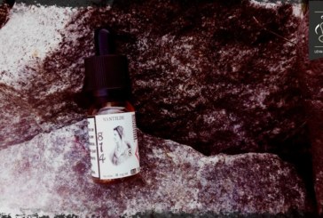 Nantilde (Histoire d’E-liquides) par 814