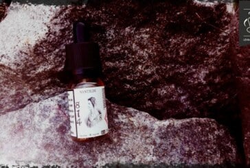 Nantilde (Histoire d’E-liquides) par 814