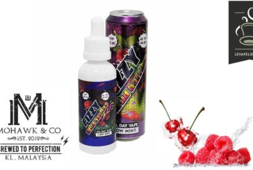 Fizzy Wild Berries par Mohawk & Co