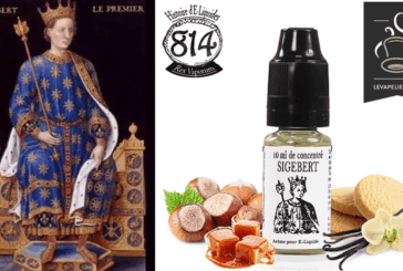 Sigebert (Histoires d’e-liquide) par 814