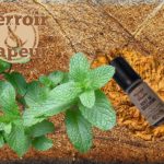 Vert de Gascogne par Terroir et Vapeur (Tevap)