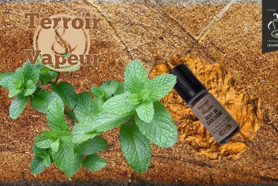 Vert de Gascogne par Terroir et Vapeur (Tevap)