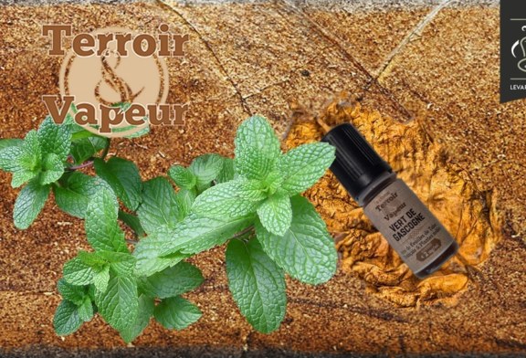 Vert de Gascogne par Terroir et Vapeur (Tevap)