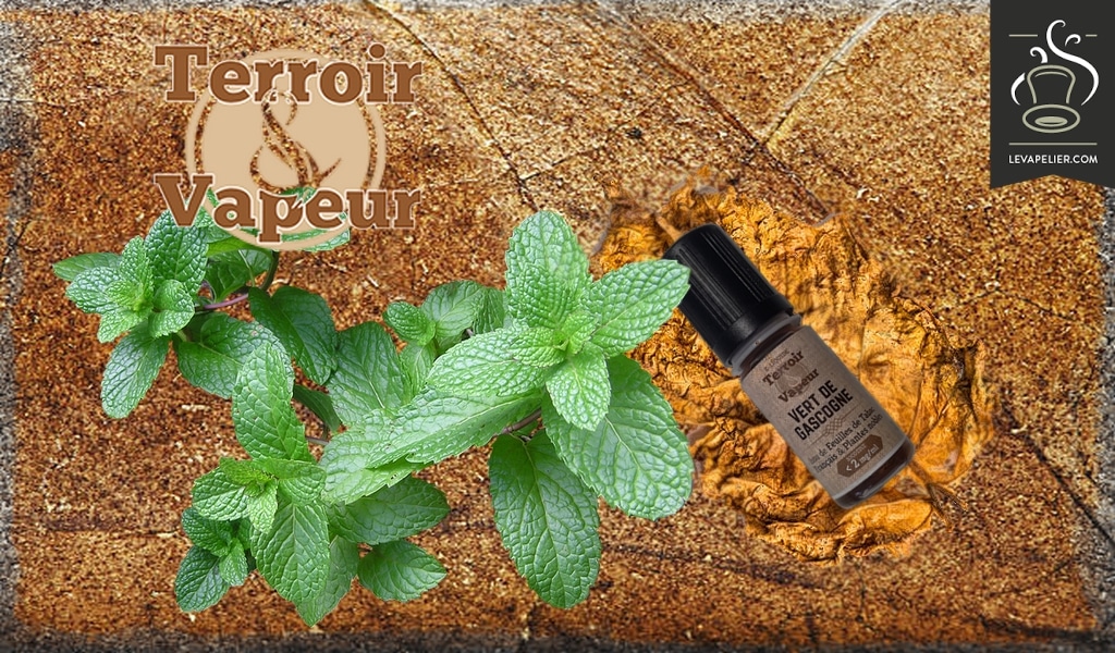 Vert de Gascogne par Terroir et Vapeur (Tevap)